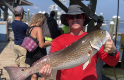 Redfish adventure